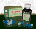 Ендогет